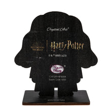 Load image into Gallery viewer, "RUBEUS HAGRID" Crystal Art Buddies Harry Potter
