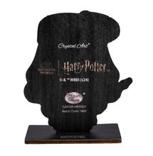 Load image into Gallery viewer, "ALBUS DUMBLEDORE" Crystal Art Buddies Harry Potter