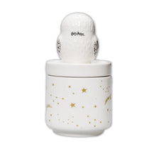 Load image into Gallery viewer, Harry Potter Hedwig Collector's Box Boxed 14cm