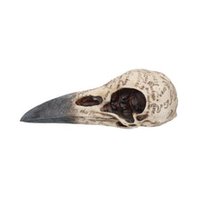 Load image into Gallery viewer, Edgar's Raven Skull 21cm