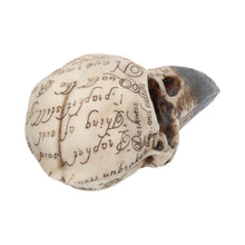 Load image into Gallery viewer, Edgar's Raven Skull 21cm