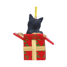 Load image into Gallery viewer, Present Cat Hanging Ornament by Lisa Parker 9cm
