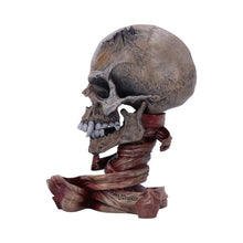 Load image into Gallery viewer, Metallica Pushead Skull 23.5cm