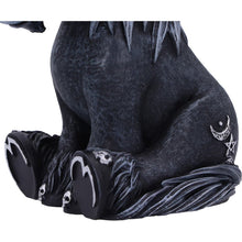 Load image into Gallery viewer, Culticorn 10.2cm