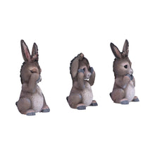 Load image into Gallery viewer, Three Wise Donkeys 11cm