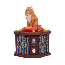 Load image into Gallery viewer, Mad About Cats Box by Lisa Parker 16.5cm