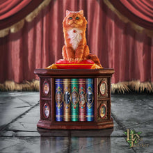 Load image into Gallery viewer, Mad About Cats Box by Lisa Parker 16.5cm