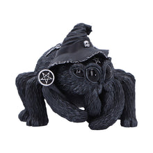 Load image into Gallery viewer, Arachnias 8cm