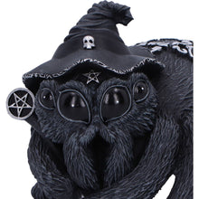 Load image into Gallery viewer, Arachnias 8cm