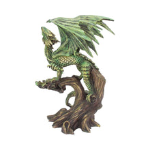 Load image into Gallery viewer, Adult Forest Dragon (AS) 25.5cm