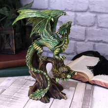 Load image into Gallery viewer, Adult Forest Dragon (AS) 25.5cm