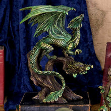 Load image into Gallery viewer, Adult Forest Dragon (AS) 25.5cm