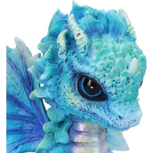 Load image into Gallery viewer, Blue Poppy Flower Dragon 11cm