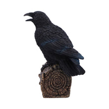 Load image into Gallery viewer, Ravens Cry 18cm