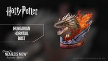 Load and play video in Gallery viewer, Harry Potter Hungarian Horntail Bust 30cm
