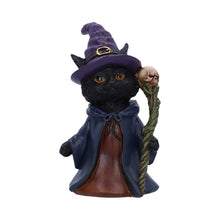 Load image into Gallery viewer, Whiskered Wizard 14cm