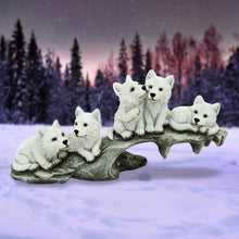 Load image into Gallery viewer, Winter Litter 25cm