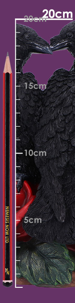 Raven Romance 20cm