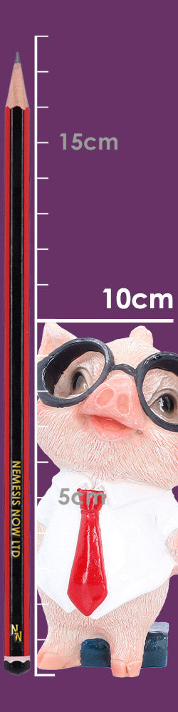 Patrick pig figurine showing size scale and proportions