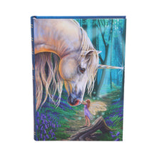 Load image into Gallery viewer, Fairy Whispers Journal by Lisa Parker 17cm