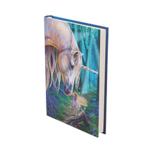 Load image into Gallery viewer, Fairy Whispers Journal by Lisa Parker 17cm
