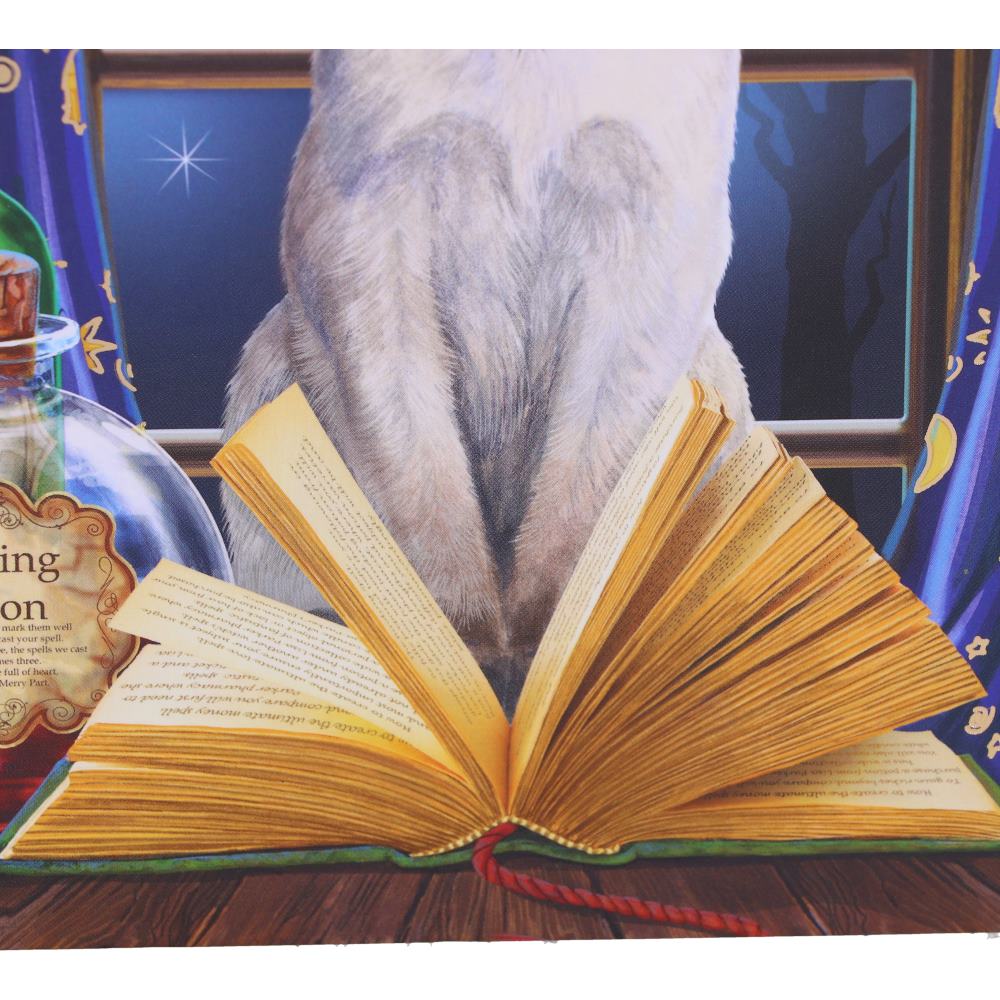 Hocus Pocus Journal by Lisa Parker 17cm