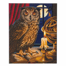 Load image into Gallery viewer, Lisa Parker The Astrologer Owl Framed Crystal Art Kit 40X50cm