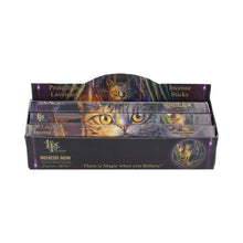 Load image into Gallery viewer, Protection Incense Sticks Lavender by Lisa Parker