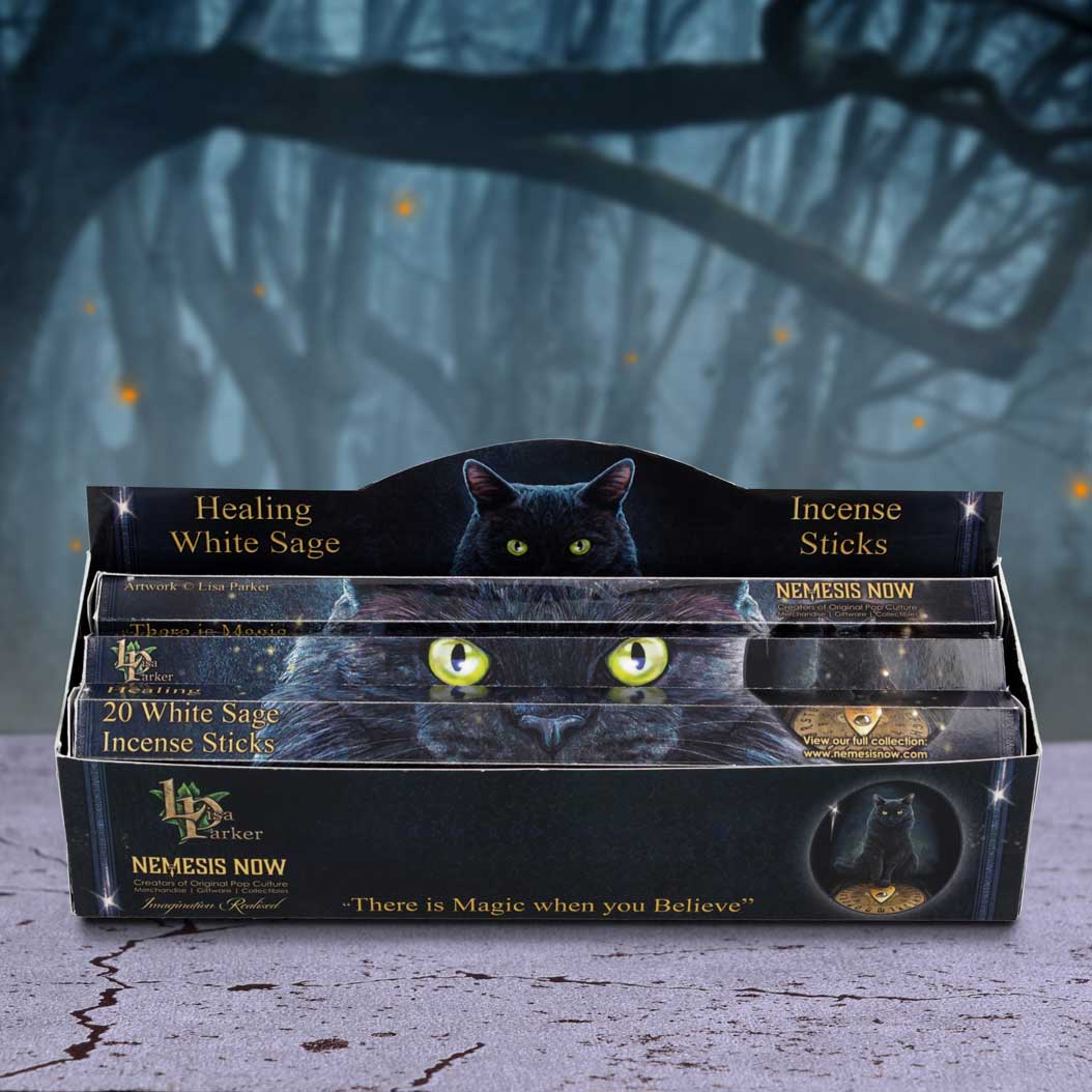 Healing Incense Sticks White Sage by Lisa Parker