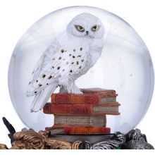 Load image into Gallery viewer, Harry Potter Hedwig Snow Globe 18.5cm