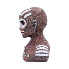 Load image into Gallery viewer, Iron Maiden The Book of Souls Bust Box 26cm