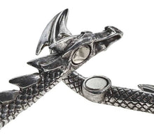 Load image into Gallery viewer, Dragon's Lure Necklace