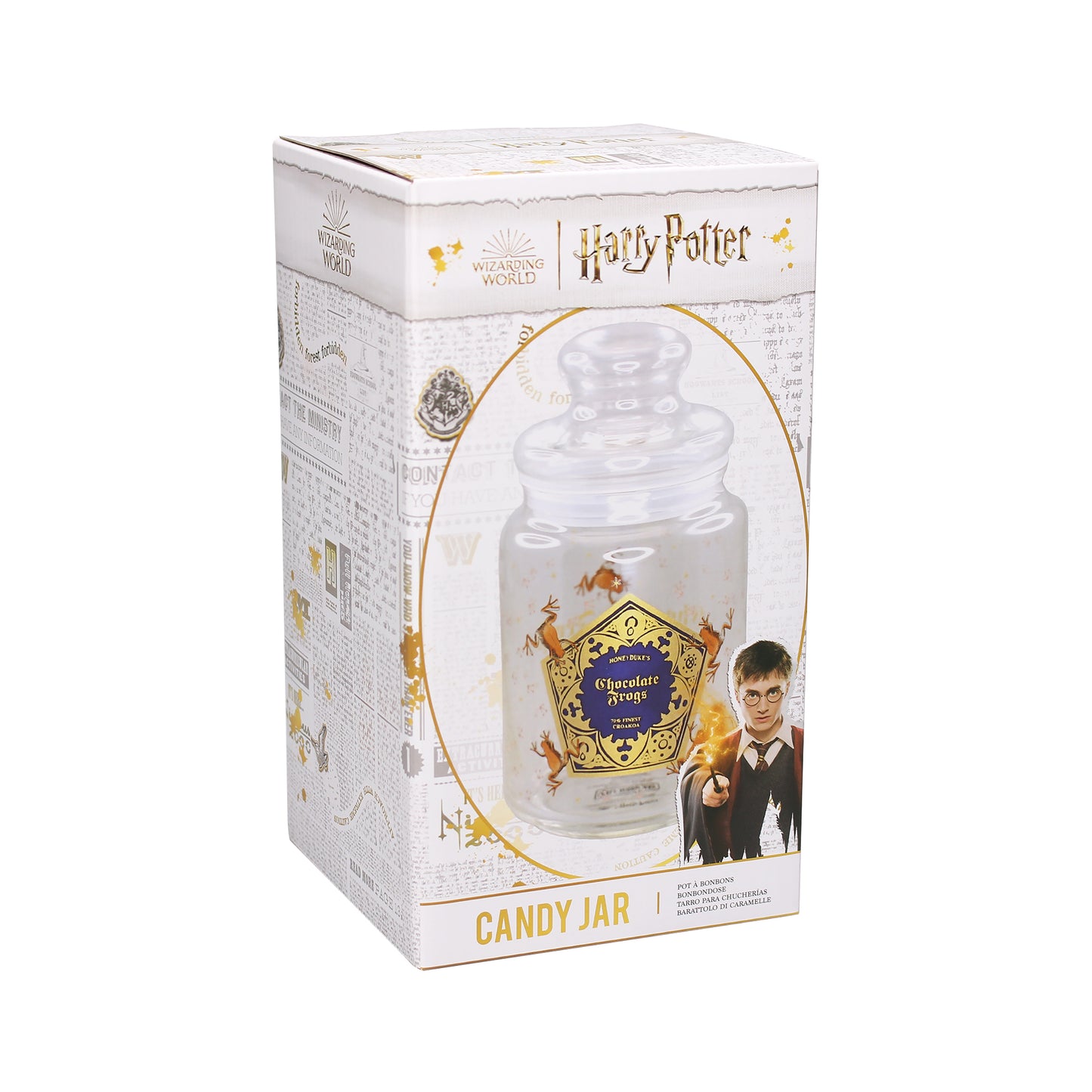 Harry Potter Chocolate Frogs Glass Candy Jar 750ml