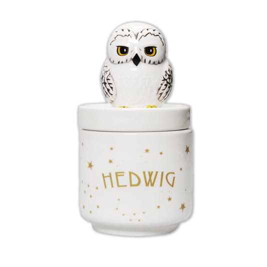 Harry Potter Hedwig Collector's Box Boxed 14cm