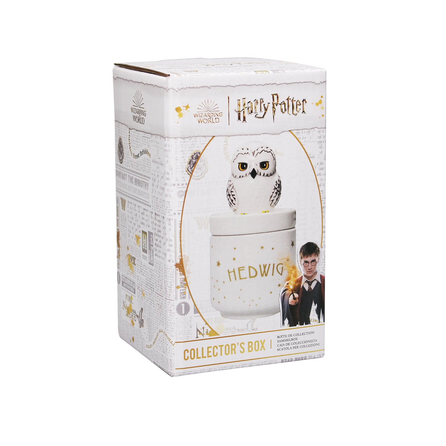 Harry Potter Hedwig Collector's Box Boxed 14cm