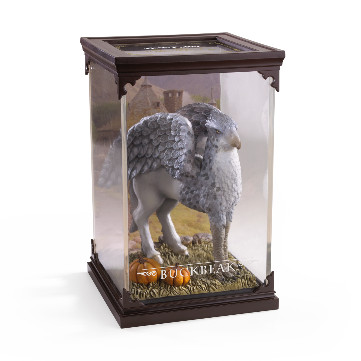 Magical Creatures #6 – Buckbeak