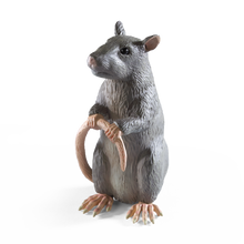 Load image into Gallery viewer, Magical Creatures #14 – Scabbers
