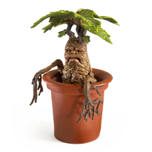 Load image into Gallery viewer, Magical Creatures #17 – Mandrake
