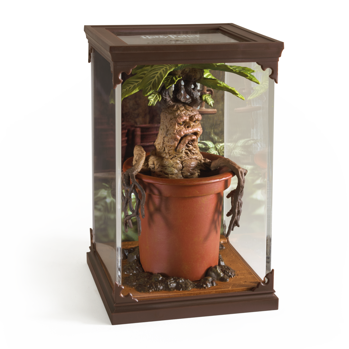 Magical Creatures #17 – Mandrake