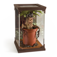 Load image into Gallery viewer, Magical Creatures #17 – Mandrake
