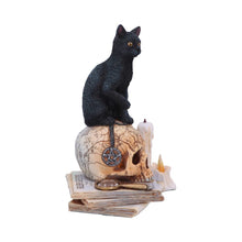 Load image into Gallery viewer, Spirits of Salem by Lisa Parker 16.5cm
