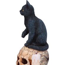 Load image into Gallery viewer, Spirits of Salem by Lisa Parker 16.5cm
