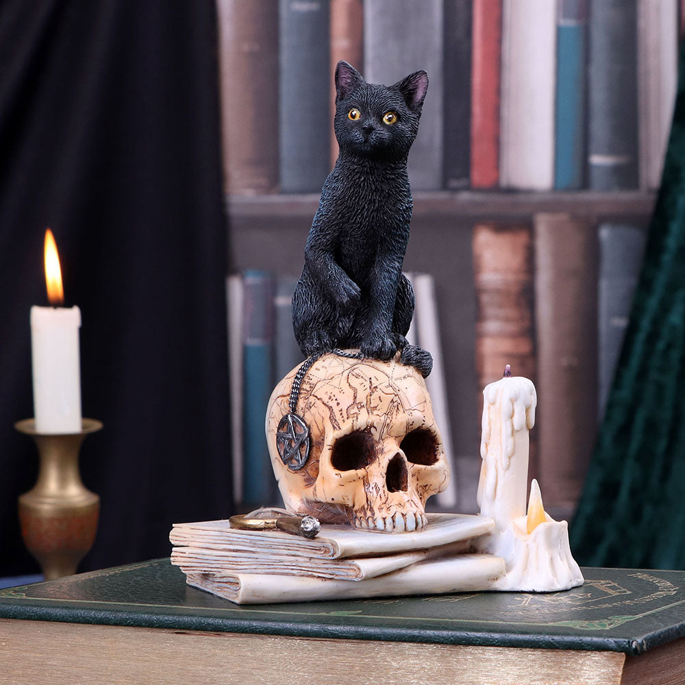 Spirits of Salem by Lisa Parker 16.5cm