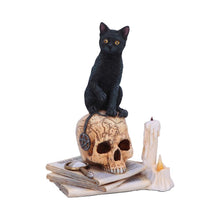 Load image into Gallery viewer, Spirits of Salem by Lisa Parker 16.5cm
