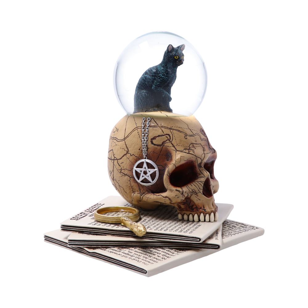 Lisa Parker Gothic fantasy black witch familiar and aged skull snow globe