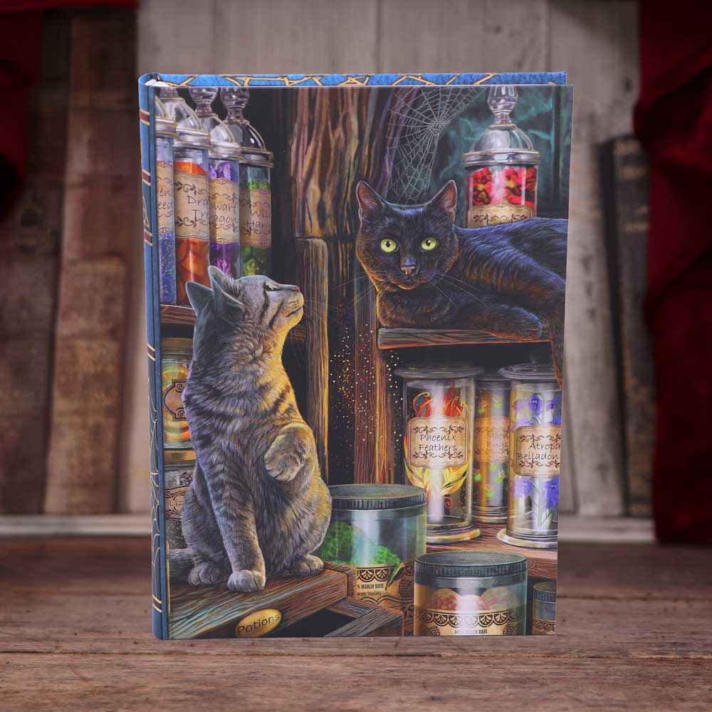 Magical Emporium Journal by Lisa Parker 17cm