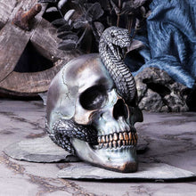 Load image into Gallery viewer, Serpentine Fate 19cm
