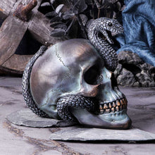 Load image into Gallery viewer, Serpentine Fate 19cm
