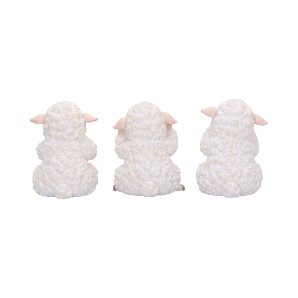 Three Wise Sheep