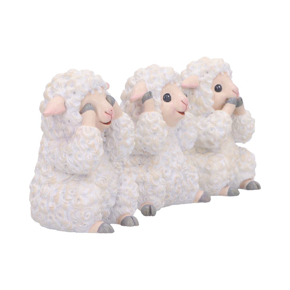Three Wise Sheep